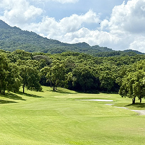 全國球場第14洞